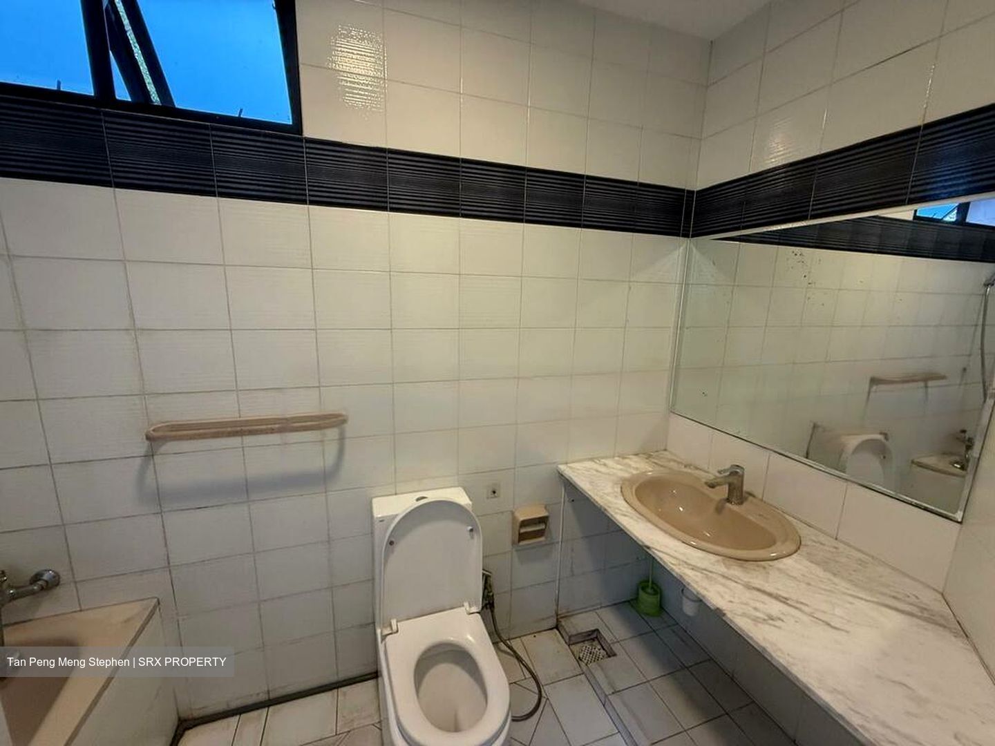 Charlton Corner (D19), Apartment #485547741